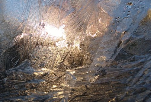 esc-mkl_Langsamer-als-Dunkelheit_LinoLeum