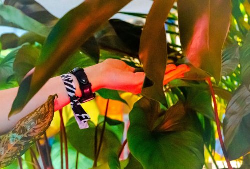 esc medien kunst labor Biotron