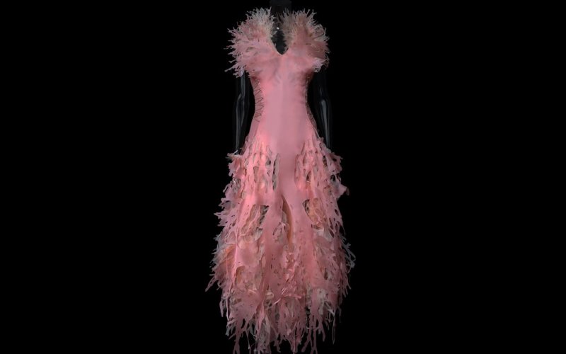 Amy Karle, Internal Collection, Pinke cardiovaskuläre Robe