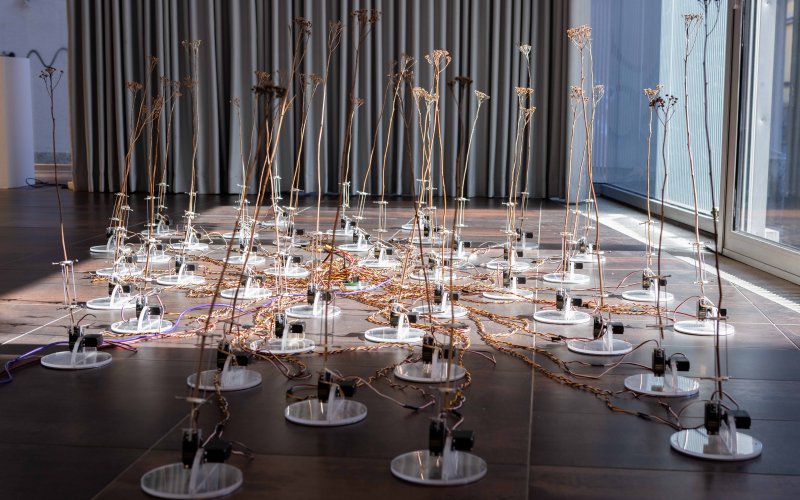 esc medien kunst labor ausser kontrolle tele-present wind foto martin gross