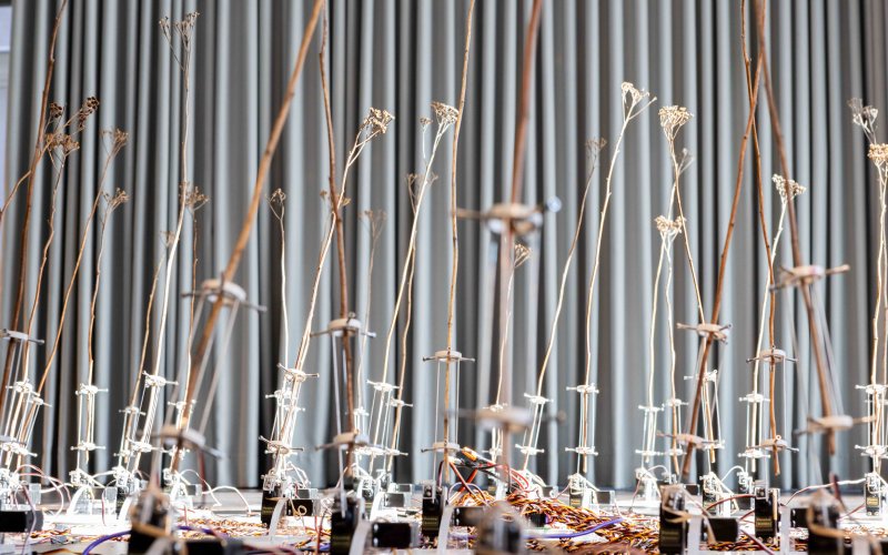 esc medien kunst labor ausser kontrolle tele-present wind foto martin gross
