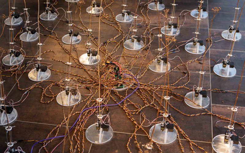 esc medien kunst labor ausser kontrolle tele-present wind foto martin gross