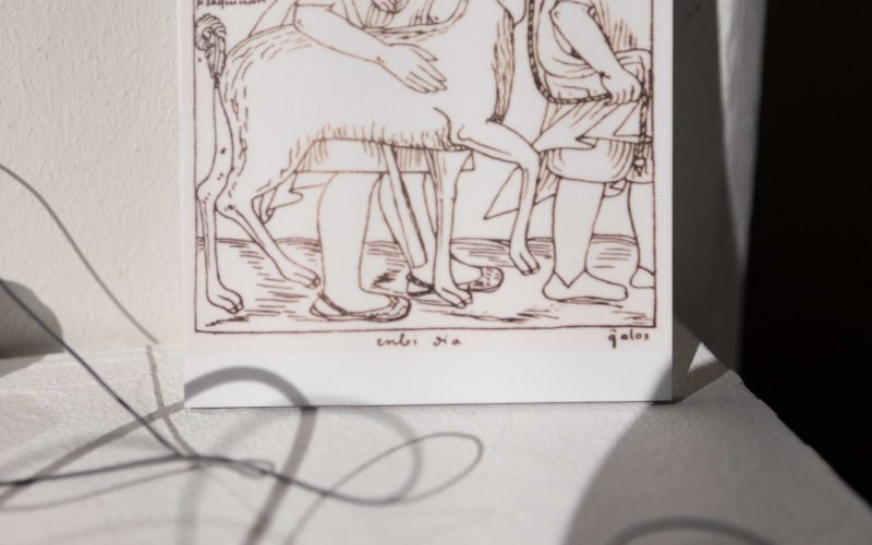 © esc medien kunst labor-khipu-fotos_MGross