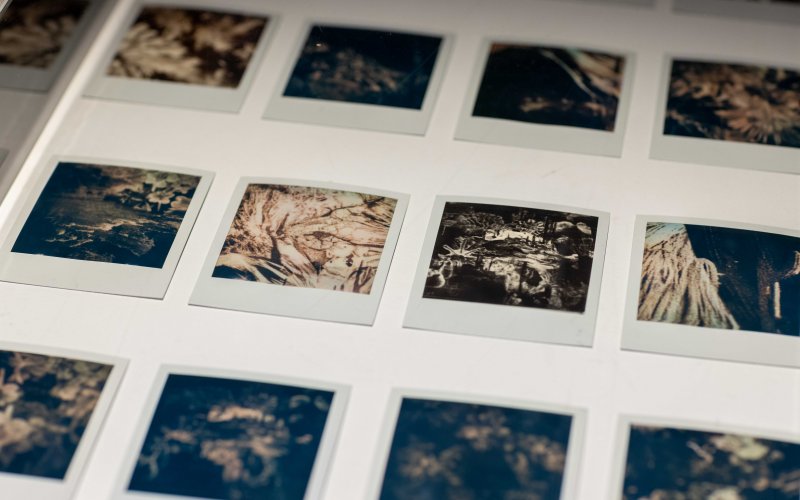 ©esc medien kunst labor-out of control-sofia crespo-foto_mgross