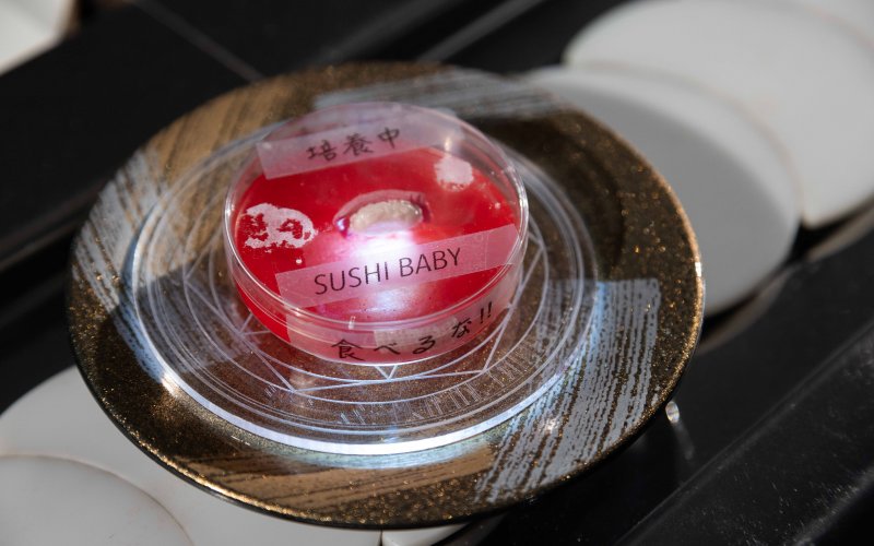 ©esc medien kunst labor_Desert of Realities_Etsuko Ichihara Future Sushi Sushi Baby