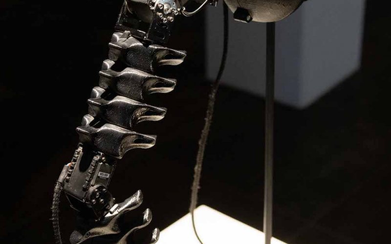 The AI Prostheses von Marco Donnarumme und Ana Rajcevic, Ausstellungsansicht. Foto: Martin Gross