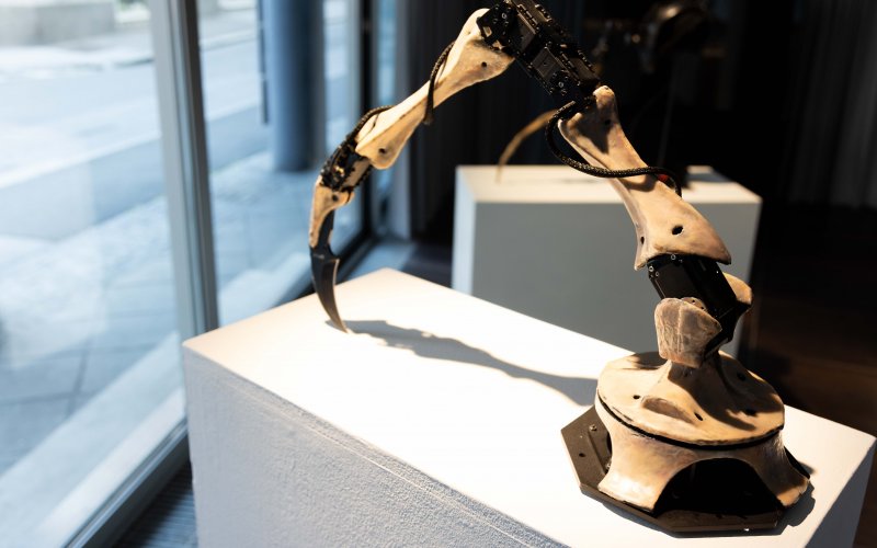The AI Prostheses, Marco Donnarumma und Ana Rajcevic, Ausstellungsansicht. Foto: Martin Gross