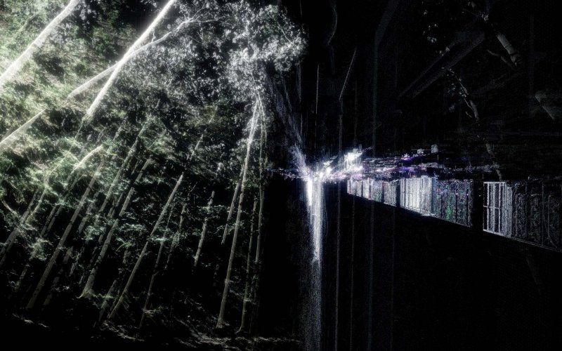 Forest Server von Theresa Schubert