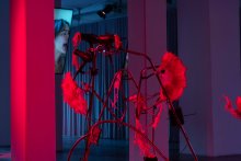 esc medien kunst labor M.Butterfly Kim Hankyul Foto M.Gross