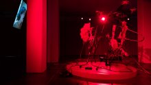 esc medien kunst labor M.Butterfly Kim Hankyul Foto M.Gross
