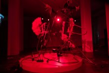 esc medien kunst labor M.Butterfly Kim Hankyul Foto M.Gross