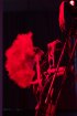esc medien kunst labor M.Butterfly Kim Hankyul Foto M.Gross