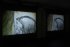 esc medien kunst labor PLAYING ENTITY Hyperphantasia, A New Prehistory Justine Emard Foto Martin Gross