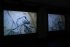 esc medien kunst labor PLAYING ENTITY Hyperphantasia, A New Prehistory Justine Emard Foto Martin Gross