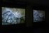 esc medien kunst labor PLAYING ENTITY Hyperphantasia, A New Prehistory Justine Emard Foto Martin Gross