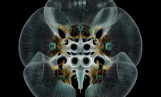 © esc medien kunst labor | Amy Karle