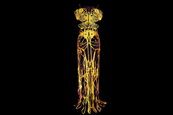  Amy Karle, Internal Collection, gelbes Seidenkleiden basierend auf Bändern