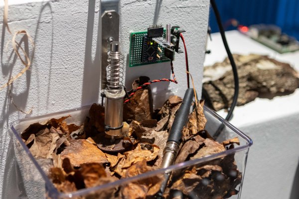 ©esc medien kunst labor - (RE)NEW Part I - Plant Orchestra by Jon Ross - Foto MGross