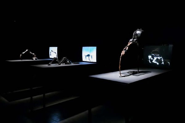 The AI Prostheses von Marco Donnarumma, Ausstellungsansicht