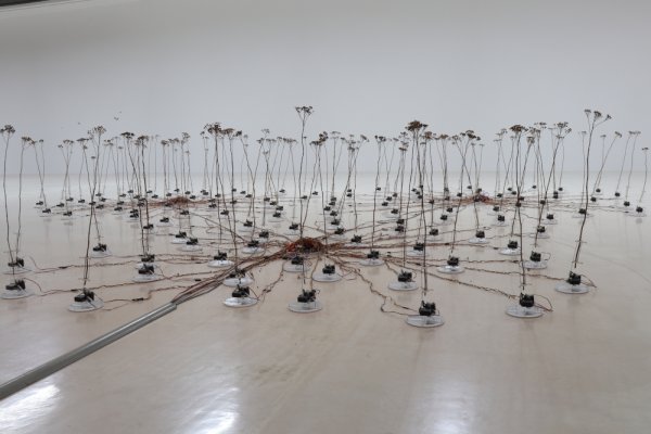 esc medien kunst labor telepresent wind David Bowen